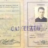 camilovive
