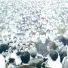 camilovive