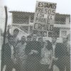 camilovive